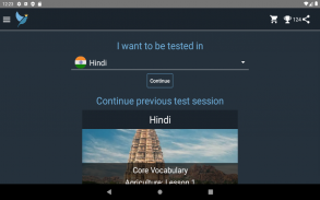 Hindi Language Tests screenshot 6