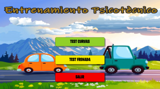 TEST PSICOTÉCNICO CONDUCIR screenshot 0
