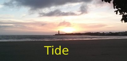 Maree