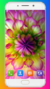 Flower Wallpaper screenshot 8