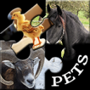Puzzle Pets Icon