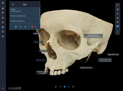 cadaVR anatomy screenshot 0