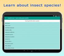 InsectID - Identify Insects screenshot 2