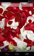 Rose petals Live Wallpaper screenshot 3