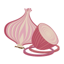 Live Onion Video Chat Icon