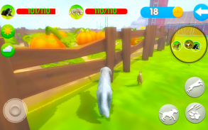 Dog Home screenshot 18