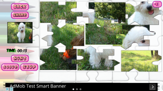 Puzzles of Puppies Free screenshot 6