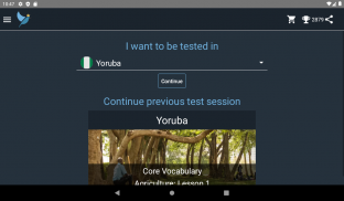 Yoruba Language Tests screenshot 17