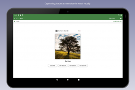 Learn German Vocabulary screenshot 2