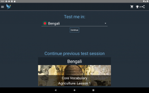 Bengali Language Tests screenshot 2