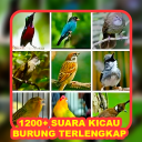1200+ Suara Kicau Burung MP3 Icon