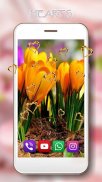 Spring Flowers live wallpaper screenshot 2