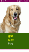 Learn Marathi Wildlife and Body Parts Names screenshot 9