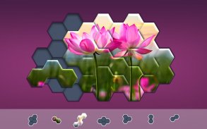 Hexágonos Hexa Jigsaw Puzzle™ screenshot 11