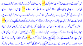 Tafheem ul Quran screenshot 6