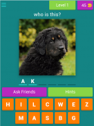 dog breeds quiz screenshot 8