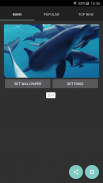 Дельфины Живые Обои screenshot 7