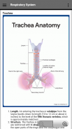 Respiratory System screenshot 0