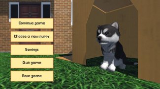 Cute Pocket Puppy 3D - Part 2 screenshot 1