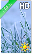 Winter Grass LWP Free screenshot 0