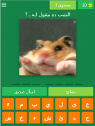 تمبلتس و ميمز - اختبار الميم screenshot 5