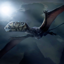 Dimorphodon Simulator Icon