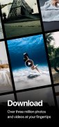 Pexels: HD+ videos & photos screenshot 6
