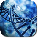 DNA 3D Live Wallpaper