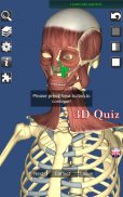 3D Bones and Organs (Anatomy) screenshot 2