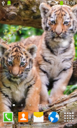 Little Tiger Live Wallpaper screenshot 8