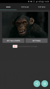 الحديث القرد لايف للجدران screenshot 5