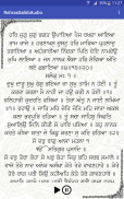 Rehras Sahib Path Audio screenshot 9