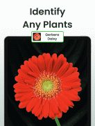 Plantennamen Herkenning, Bloem screenshot 8