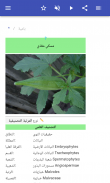 خضروات screenshot 13