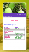 Samayal Tamil - தமிழ் சமையல் screenshot 9