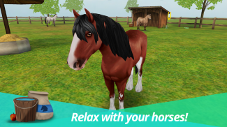 马的世界 - 我的骑乘马：有马儿作伴的游戏 screenshot 15