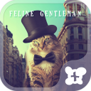 Cat  Theme-Feline Gentleman- Icon