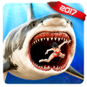 Angry jeu Shark 3D Simulator Icon