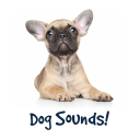 Dog Sounds and Dog Whistle