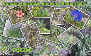 Free Wild Flowers Puzzle Games screenshot 1