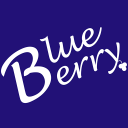 Blue Berry Investment Advisors