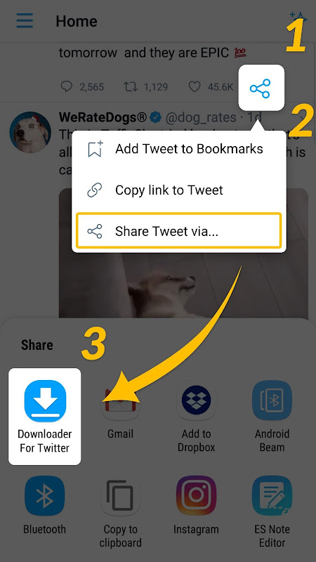 Download Twitter Videos - GIF - Apps on Google Play