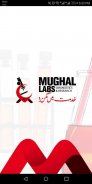 Mughal Labs screenshot 0