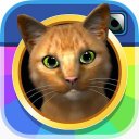 InstaKitty 3D Icon