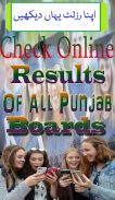 Punjab BISE Results 2019 screenshot 6