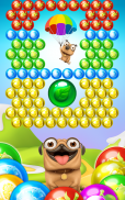 Pug Pop Bubble Shooter screenshot 11