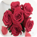 Rosas con Amor Icon