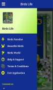 Birds Life screenshot 2