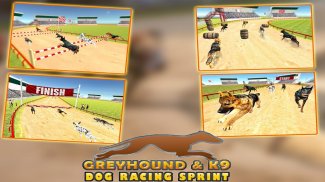 Greyhound K9 Dog Race Sprint screenshot 15