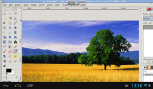 XGimp Image Editor screenshot 3